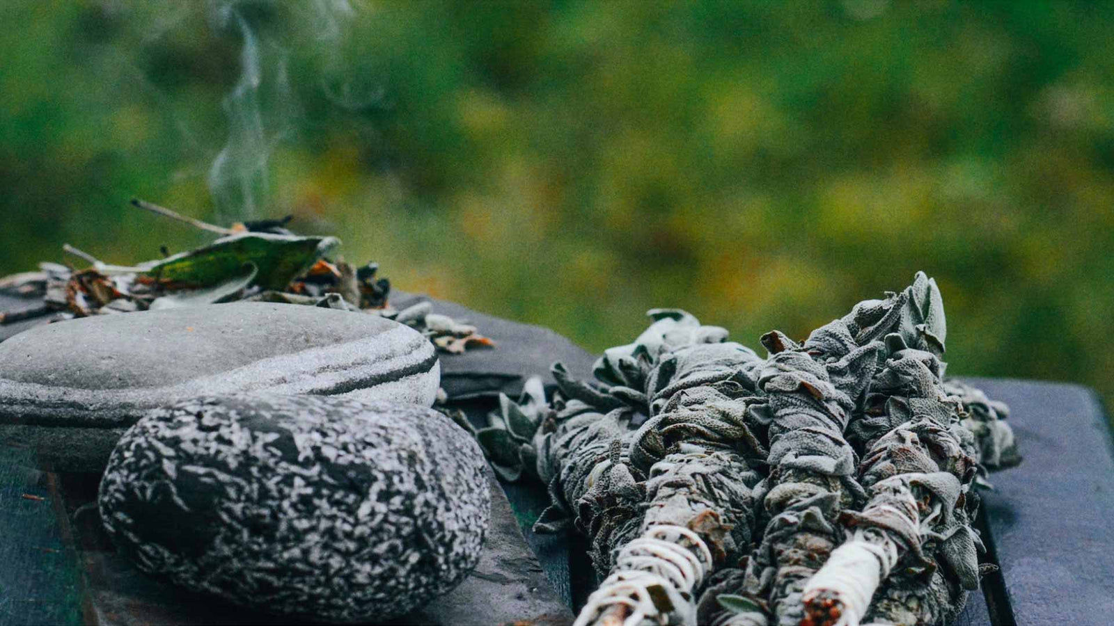 Aan de slag met het zaaien en kweken van de Witte Salie (Salvia Apiana)!