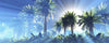 Winterharde palmboom soorten te koop bij www.drakenbloedboom.com