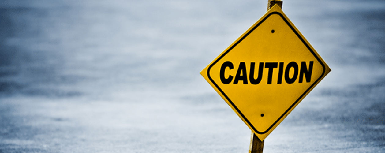 Top 7 van meest gemaakte fouten bij de aanschaf, verzorging en kweek van de Drakenbloedboom