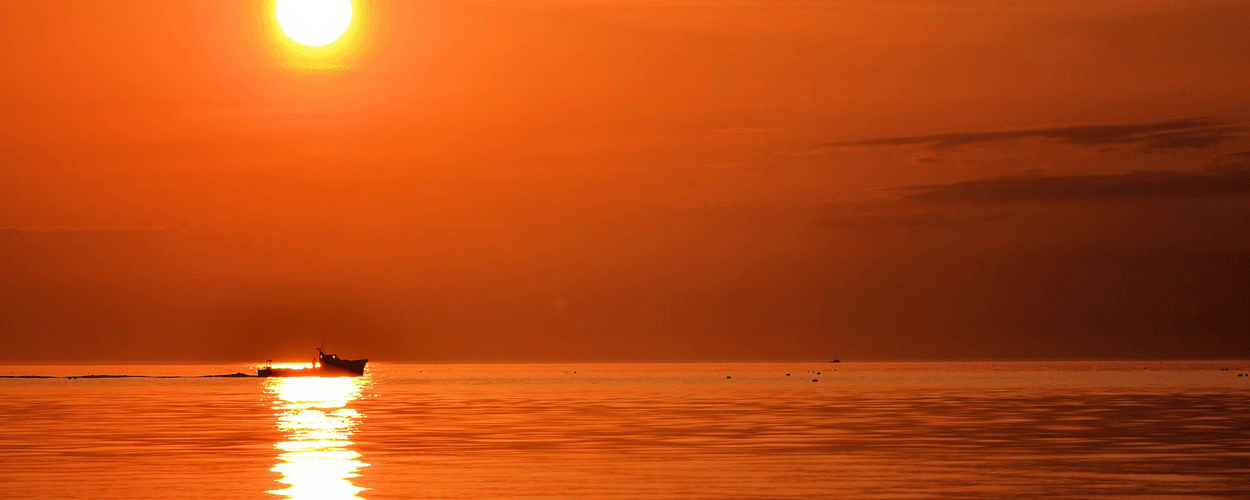 Icod de los Vinos en de hebzuchtige koopman | Drakenbloedboom.com