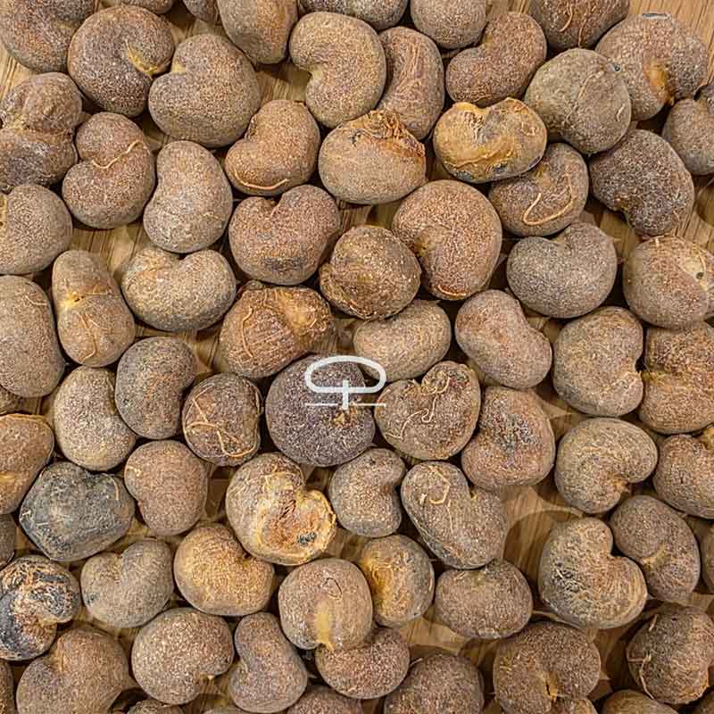 Adansonia madagascariensis boom – kweek een bijzondere baobab uit Madagaskar