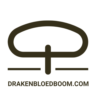Drakenbloedboom