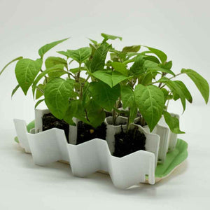 honingraad kweek tray voor grotere zaden - kweek set zaai kit