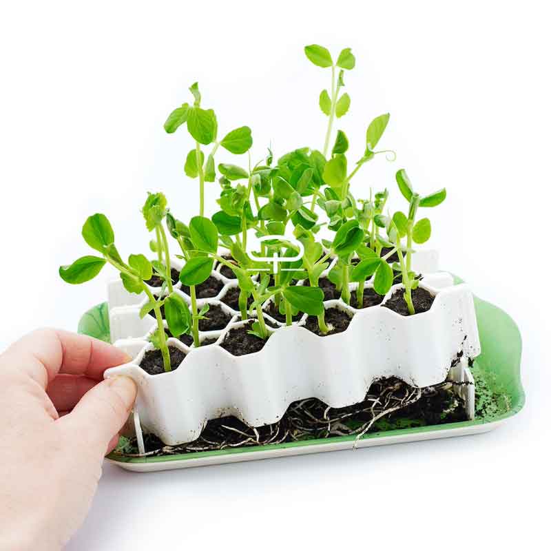 Germie M Grow Kit – Säen Sie problemlos 25 Pflanzen