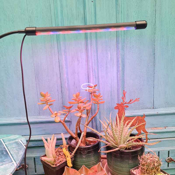 LED-groeilicht, USB-aangedreven Volledig Spectrum Plantengroeilicht, Plantengroeilicht voor Kamerplanten Huis Hydrocultuur Succulente Groei, met Timingfunctie(#1 LED-groeilicht, USB-aangedreven Volledig Spectrum Plantengroeilicht, Plantengroeilicht voor Kamerplanten Huis Hydrocultuur Succulente Groei, met Timingfunctie(#1