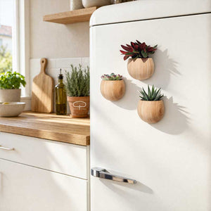 Keramisch Magneet potje woodlook donker - licht en white - met plantjes -Peperomia Rosso - Echeveria en andere succulenten. In de keuken