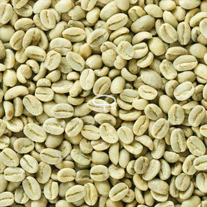 Dwerg koffieplant zaden - Coffea Arabica Nana