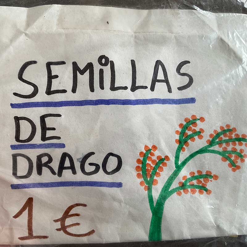 Dit envelopje lag op het muurtje naast de Drakenbloedboom op La Palma