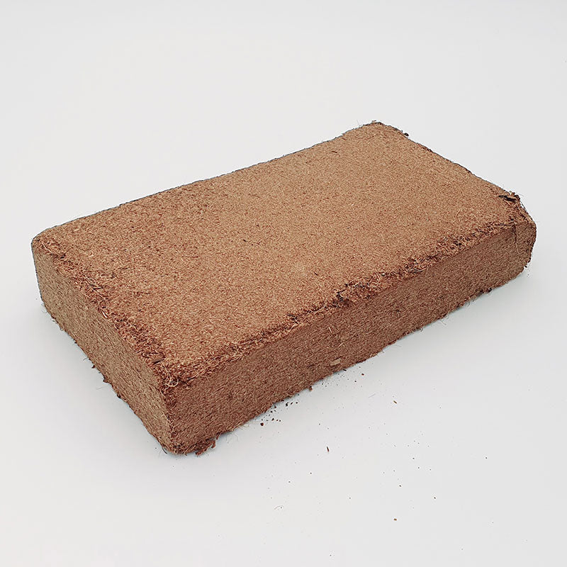 kokos vezel - neem coit - goed om drakenbloedbomen in te kweken | www.drakenbloedboom.com