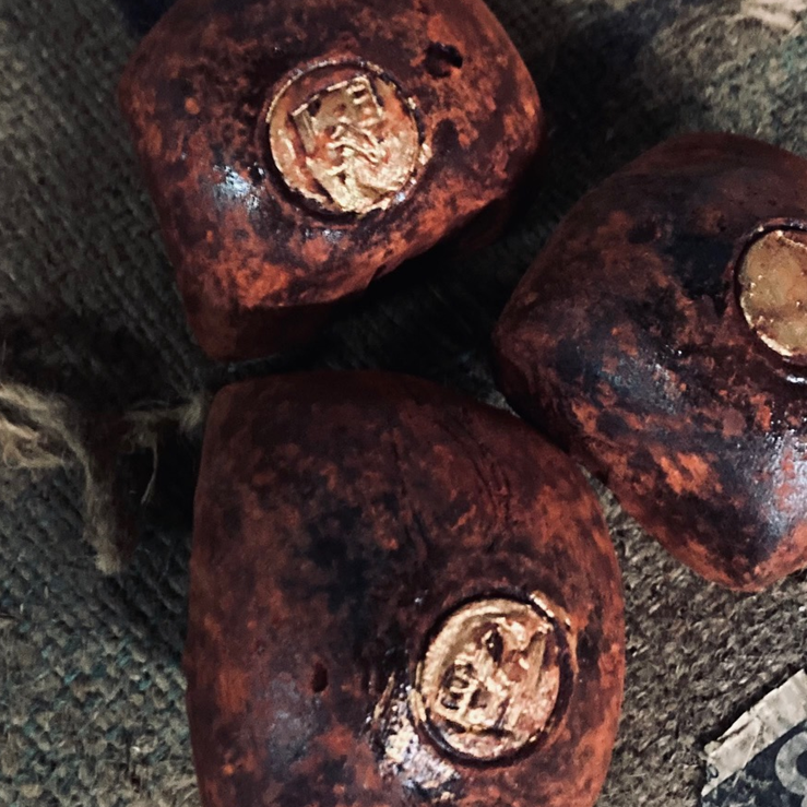 harsbol van de dracaena cinnabari drakenbloedboom