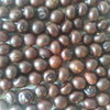 sabal_minor_dwerg_palm_zaden_1_800_x_800 | zaden | winterarde palm | www.drakenbloedboom.com | verse zaden te koop